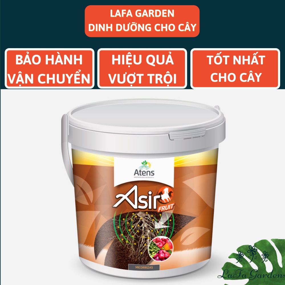 Nấm rễ cộng sinh mycorrhiza asir-fruit, viên nấm rễ sử dụng cho cây lâu năm có chứa những vi sinh vật có ích