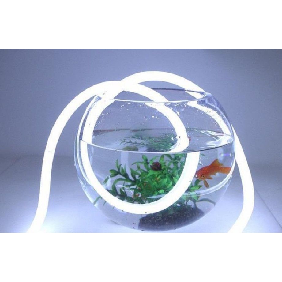 1 MÉT LED DÂY FLEX NEON 220VAC MÀU TRẮNG TINH