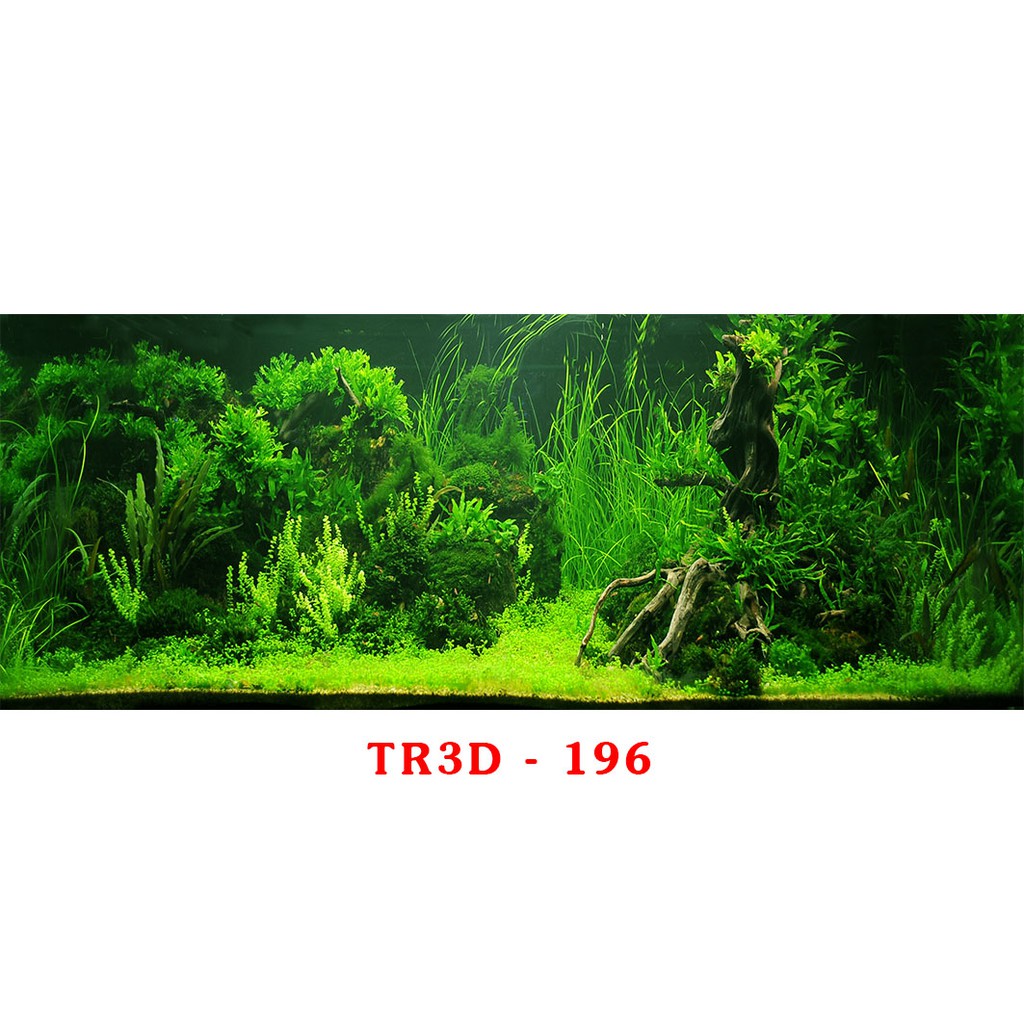Tranh 3D bể cá mã Tr3D-196 ( 60,80,90,100,120,150,160 )