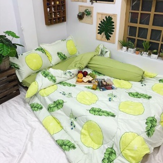 Combo Chăn phao Ga Gối nhập