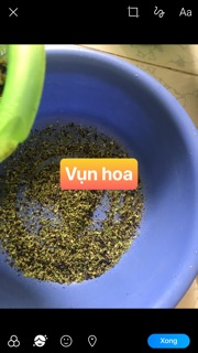 50g hoa đậu biếc khô