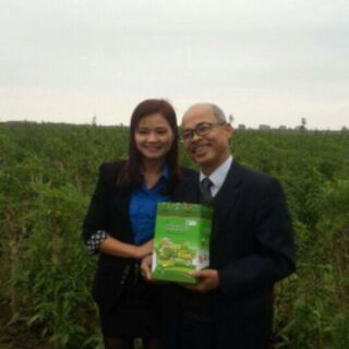 Cà gai leo khô 500g