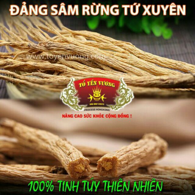 100g đẳng sâm rừng khô