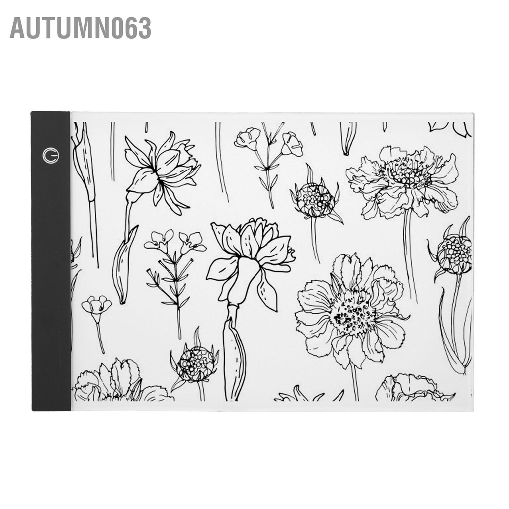Hộp ánh sáng LED Tracer Truyền hiệu quả Ánh trắng mềm USB Sạc Tracing Pad siêu mỏng A4 để ghim 337 x 237 x 3,5mm Autumn063