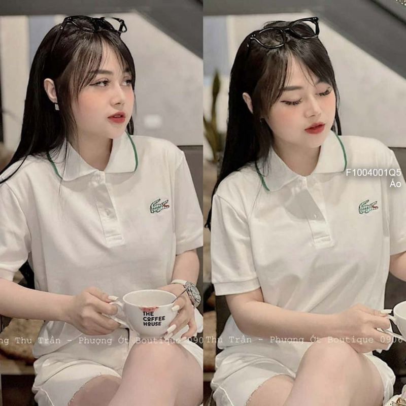 Áo thun cá sấu cổ bẻ phối viền tay ngắn hàng Quảng Châu 1004