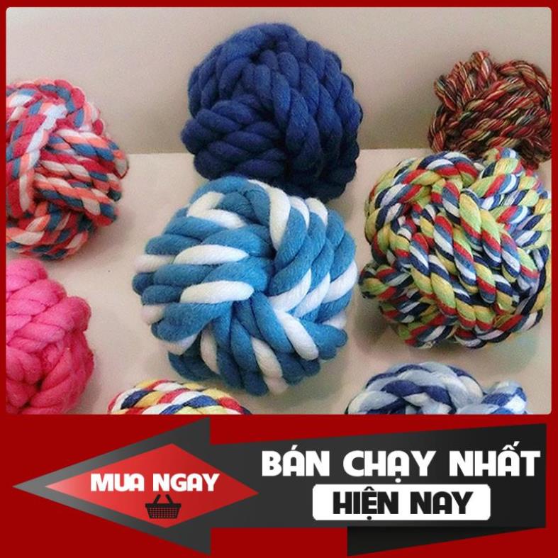 [ Bán sỉ ] ĐỒ CHƠI BÓNG CUỘN THỪNG TẬP CẮN