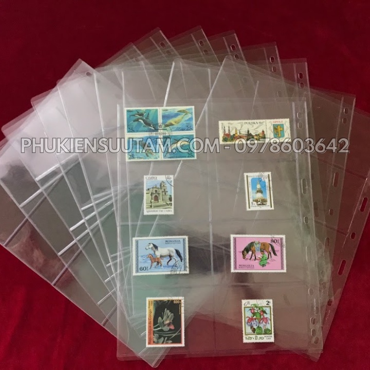 Phơi 8 ngăn trong đựng thẻ, tem thích hợp cho người sưu tầm tiết kiệm chi phí, không gian- SP001144