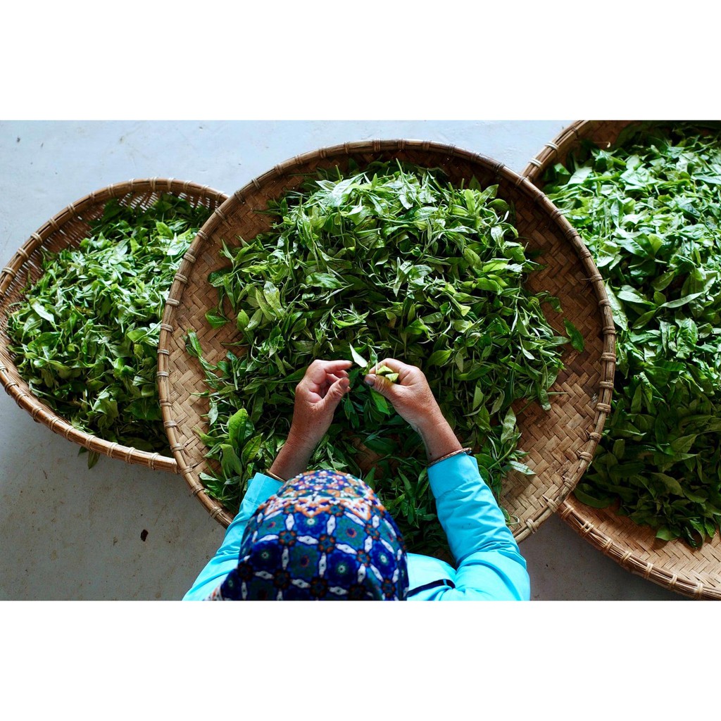 NƯỚC DƯỠNG DA TRÀ XANH