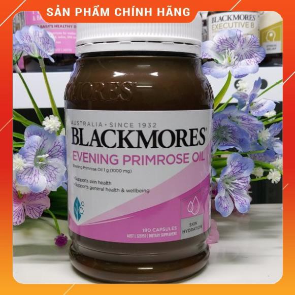 Hoa Anh Thảo Úc Blackmores Evening úc