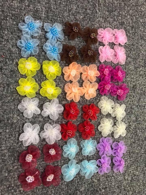 Hoa nhí nhuỵ cườm