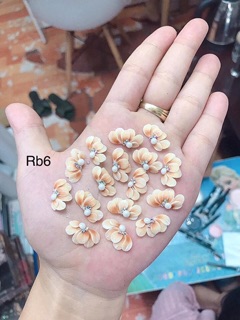Hoa bột- cúc ruby - hoa đính móng