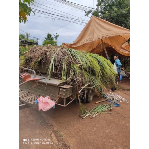 Nước rửa chén hương sả chanh [cam kết tự nhiên không hoá chất] sạch chén bát an toàn cho da tay chai  500ml