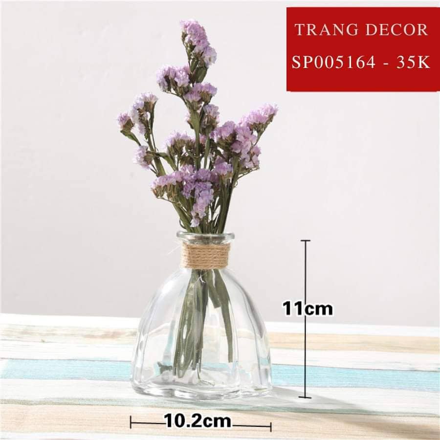 Bình thuỷ tinh cuận dây decor