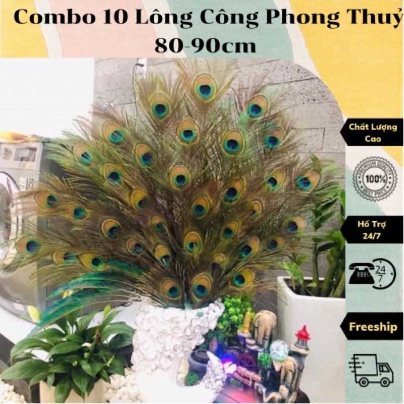 Combo 10 lông công phong thủy 80-90cm, Lộc phát tự nhiên cắm bình trang trí ban thần tài quà tặng tân gia khai trương