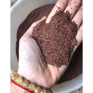 HẠT ĐÌNH LỊCH, NGŨ HOA HẠT ( Loại nguyên chất hanmade)