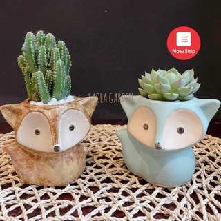 HÀNG ĐỘC QUYỀN - Chậu cáo xinh xắn cute đường kính 6 cm - Phù hợp trồng cây mini xương rồng sen đá - Quà tặng dễ thương