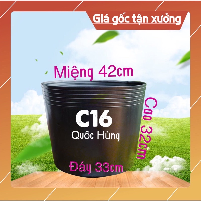 Combo 10 chậu nhựa mềm C16 trồng cây
