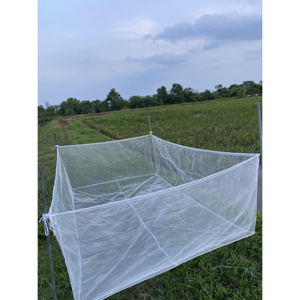 Tráng nuôi ốc nhồi , ốc bươu chuyên nghiệp có 19 kích thước lựa chọn