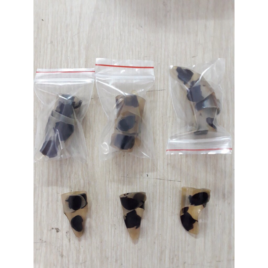 Bộ Móng Gảy Đàn Tranh
