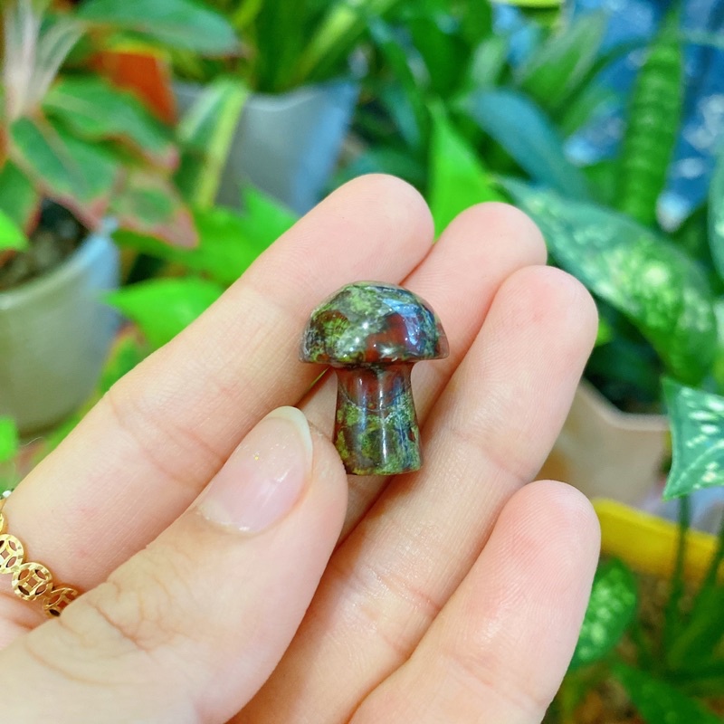 Nấm các loại đá