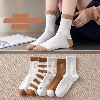 Set 5 đôi tất nữ cao cổ gấu teddy siêu hot