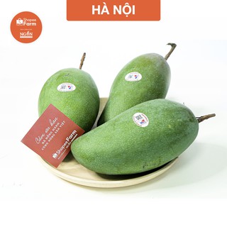 [HN] 3KG Xoài Tượng Da Xanh Sơn La Giòn Thơm Chua Nhẹ - Shopeefarm