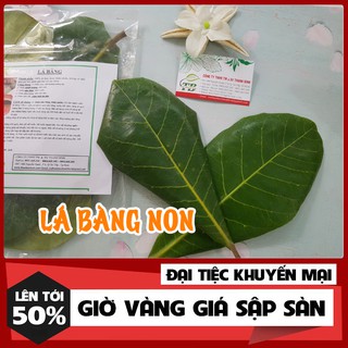 Lá Bàng Non 500g tươi _ Thảo Dược Thanh Bình