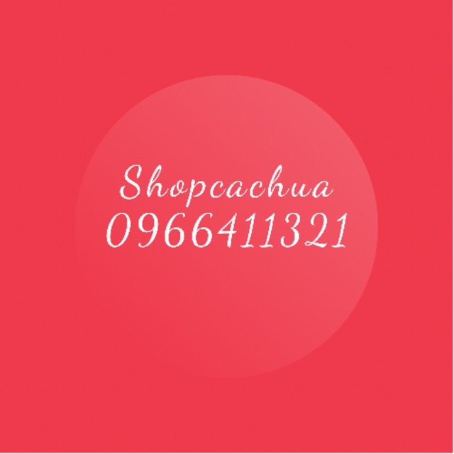 Shopcachua - 2015
