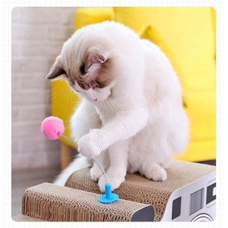😺 Cây Ghim Bàn Cào Móng