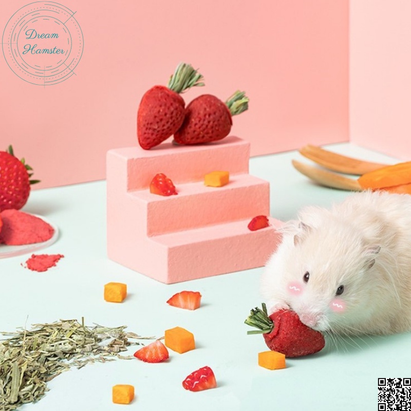 Dâu tây mài răng Yee cho hamster, sóc, thỏ và động vật nhỏ khác