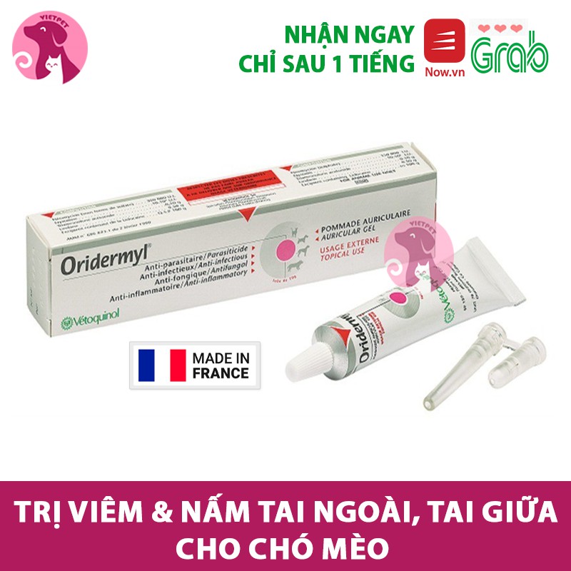 Tuýp Bôi Tai Oridermyl Cho Chó Mèo (10g) (NK Pháp) (Giúp đôi tai của thú cưng sạch &amp; khỏe)