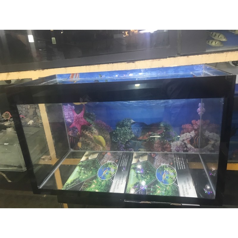 Hồ cá dài 80cm cao 40cm rộng 35 cm kính 5 ly