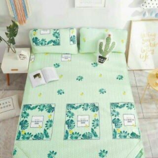 Chiếu Tencel  cao cấp m6*2m
