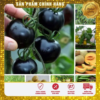 -30K COMBO Trọn bộ 06 loại hạt giống quả ngon trồng thùng xốp