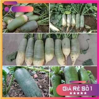 Hạt giống Củ Cải Đường Xanh - 400 hạt - HGNK