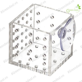 EBI VN - Cốc trồng cây Arcylic (5 x 5 x 5 cm) | Phụ kiện hồ cá thủy sinh