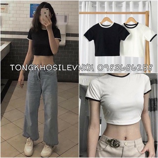 ÁO CROPTOP VIỀN TAY NGẮN BO 2 MÀU ĐEN TRẮNG BOZIP ĐẸP