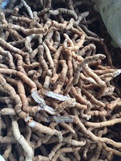 1KG BA KÍCH TÍM QUẢNG NINH HÀNG CHỌN ( LOẠI A1 )