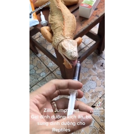 ZILLA GEL DINH DƯỠNG BÒ SÁT, RỒNG NAM MỸ, RỒNG ÚC / CHÍNH HÃNG. KÍCH THÍCH ĂN UỐNG. BỔ SUNG CHẤT SAU SINH, DƯỠNG BỆNH.