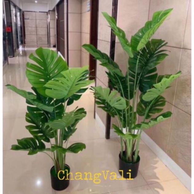 Cây trầu bà tay phật ( trầu bà lá xẻ)  1,3 và 1,9m -cây giả