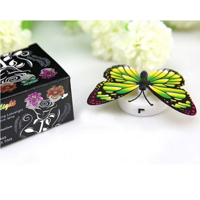 Bướm Phát Quang Ban Đêm Gắn Tường - Phụ Kiện Sỉ Online Store4girls