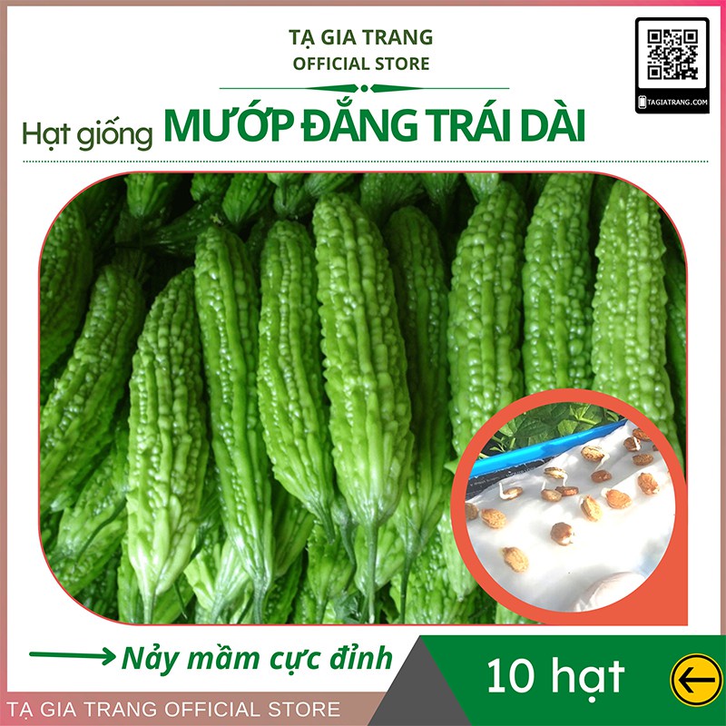 Hạt giống mướp đắng (khổ qua) trái dài chuẩn F1 - Shop hạt giống Tạ Gia Trang