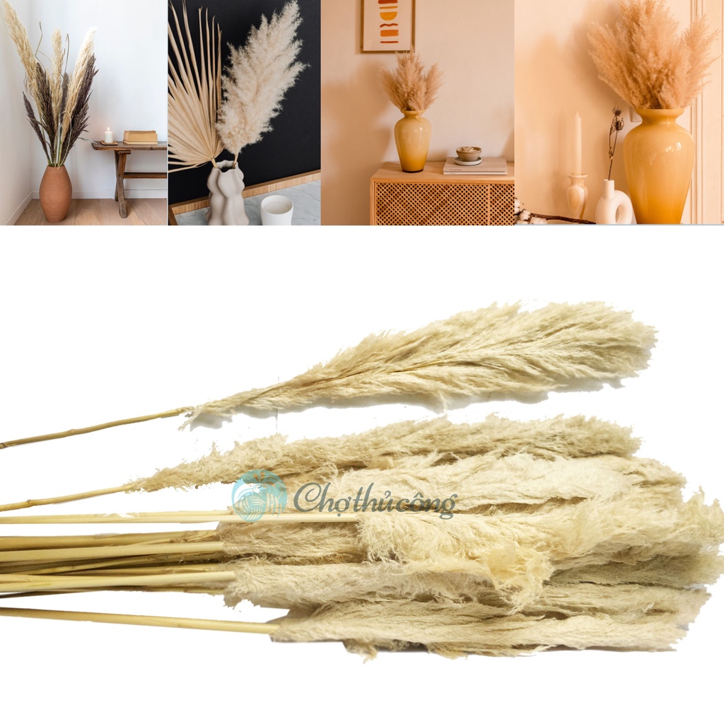 Combo 10 cành bông lau xù size đại màu xám - trắng kem, cỏ lau khô tự nhiên, hoa khô trang trí shop, sự kiện, decor