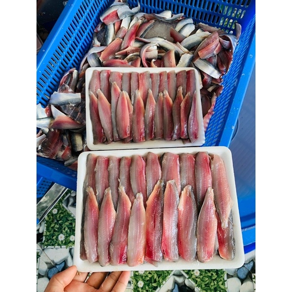 Cá biển, Cá Trích Phile, tươi ngon - 0.5kg