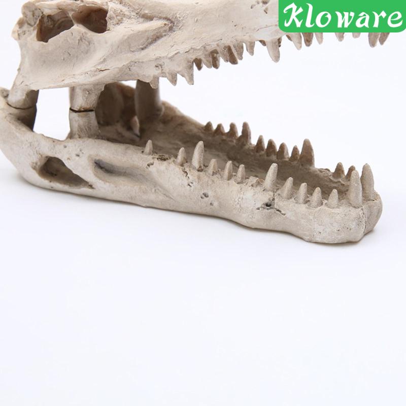 Tượng Cá Sấu Trốn Tìm Trong Bể Nuôi Bò Sát