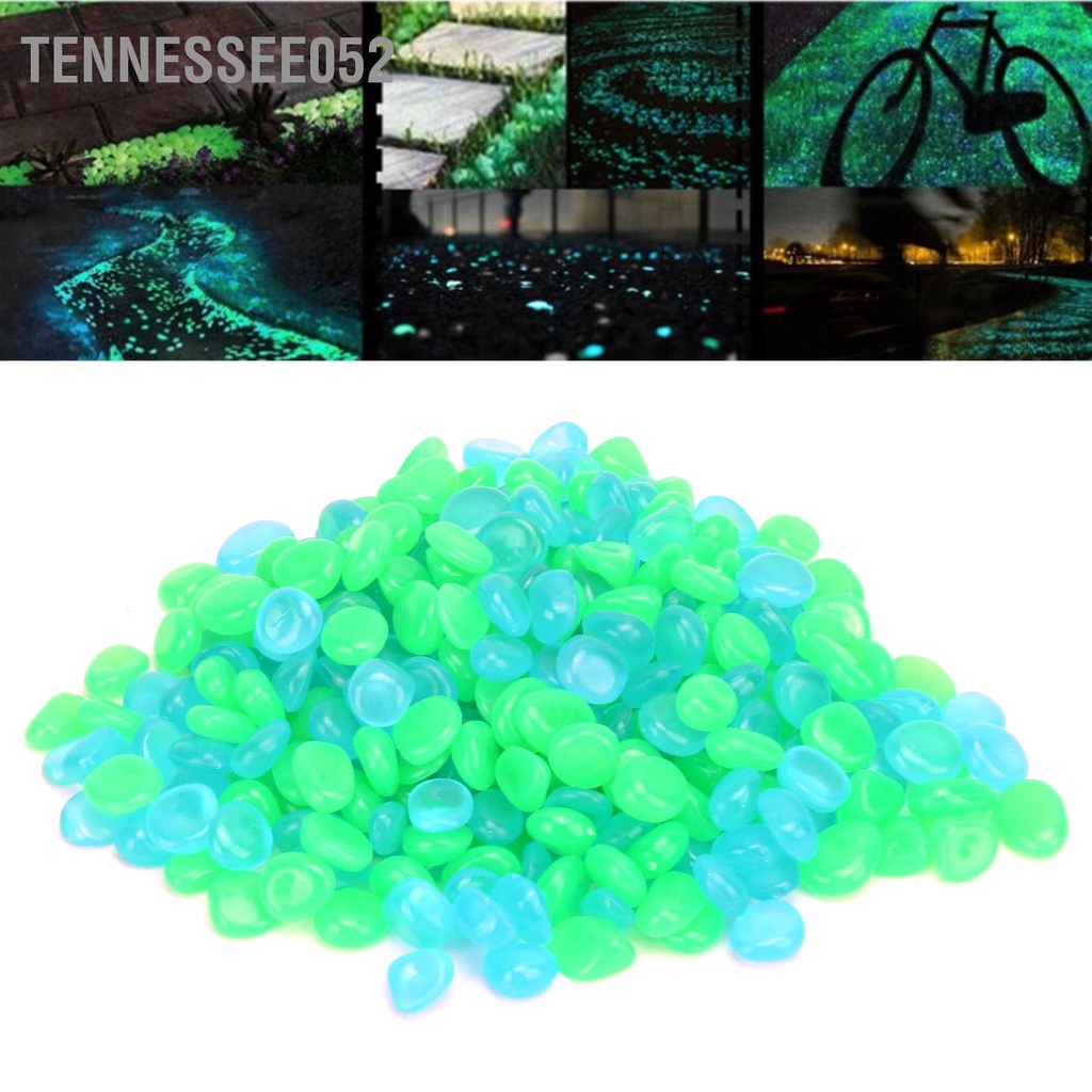 Tennessee052 300 viên Sỏi phát sáng Đá trang trí cho bể cá và ở sân sau