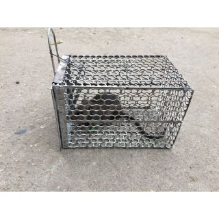 BẪY CHUỘT LỒNG BÉ