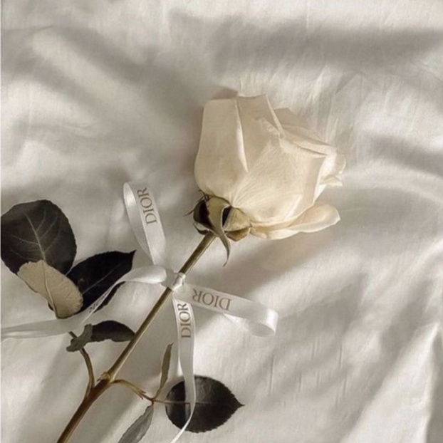 Dây ruy băng in chữ YSL, HERMES, MAC, CHANEL, DIOR - YSL, Lancome, Miumiu