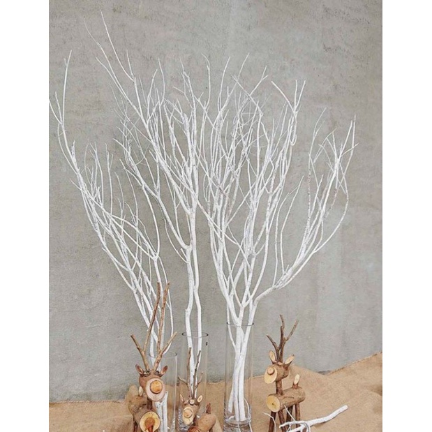 cành cây khô sơn trắng 70-80cm dùng làm trang trí decor