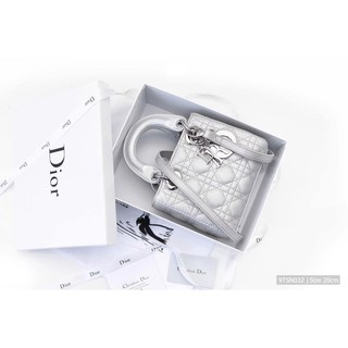 Túi xách Dior size 20